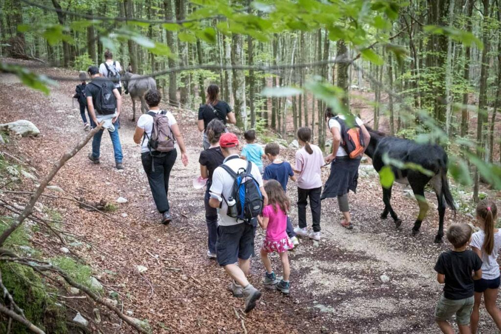 Gruppo di bambini e adulti in escursione con gli asini