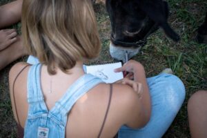 Attività con gli asini | Una ragazza disegna un asinello durante un'attività di team building
