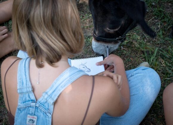 Attività con gli asini | Una ragazza disegna un asinello durante un'attività di team building